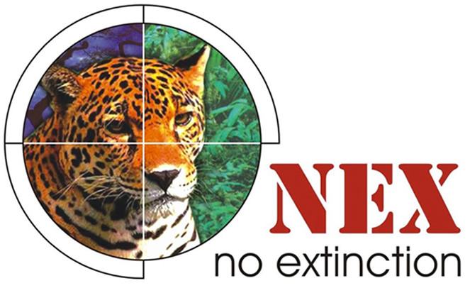 nex